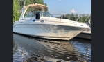Sea Ray Sundancer 275/260-kuva-9